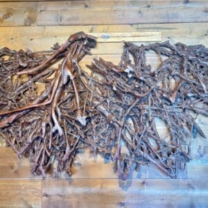 Lychee Root Wall Decor