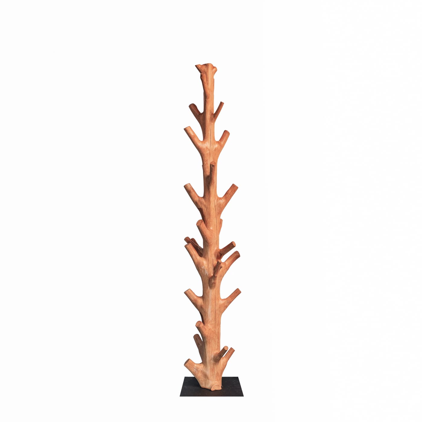Live edge wood coat rack