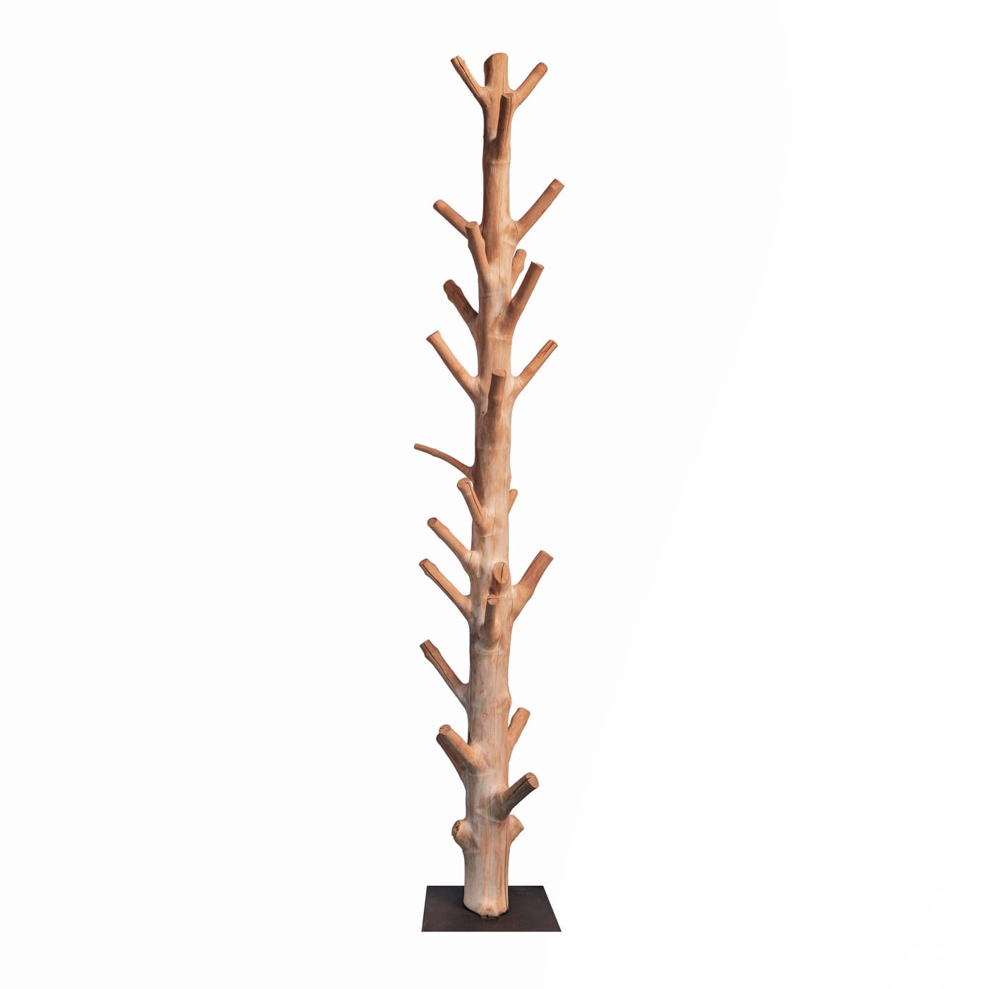 Live edge wood coat rack